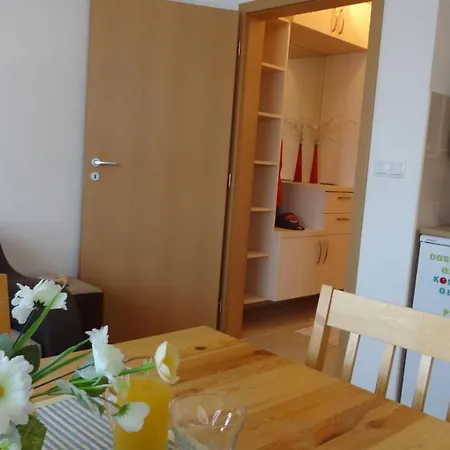 Maslacak, Dvosobni * Banja Koviljača